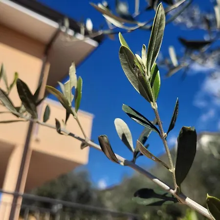 Josefine Front - Adults Only Szálloda Brenzone sul Garda
