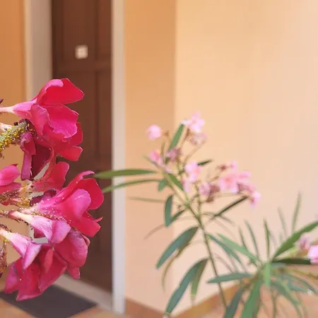 Josefine Front - Adults Only Brenzone sul Garda